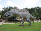 PICTURES/Dinosaur World Florida/t_IMG_5942.jpg